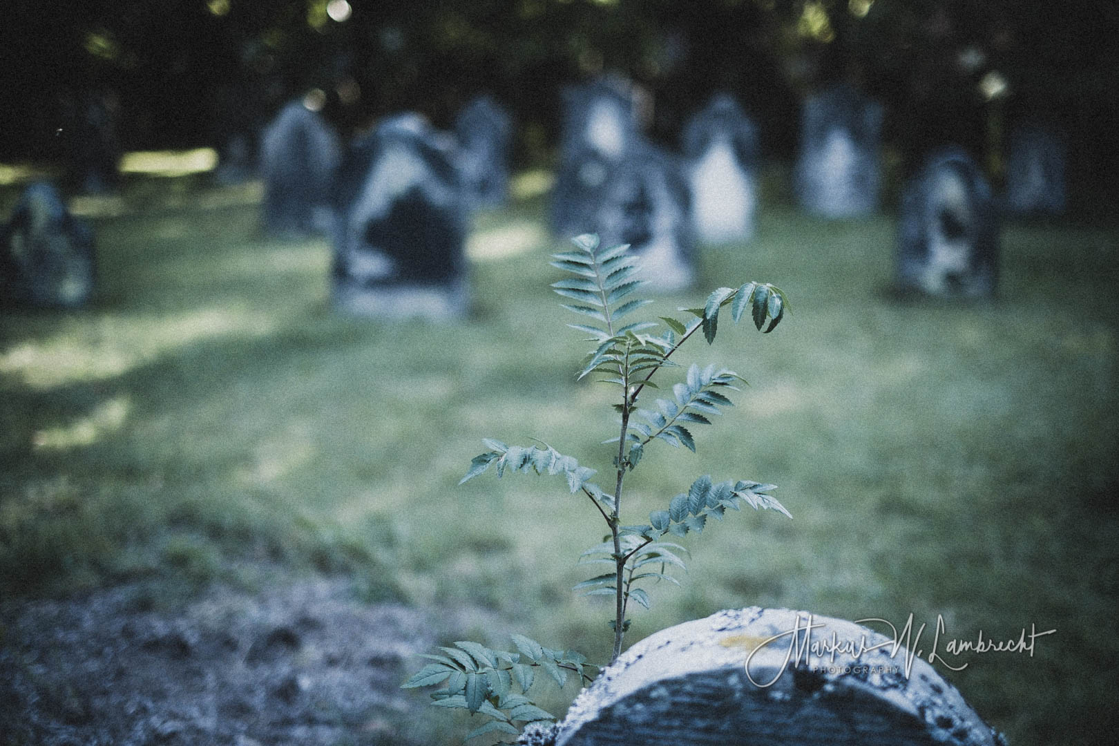 Hameln, Jüdischer Friedhof